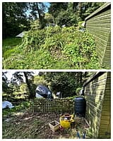 Overgrown bank cleared beside a garden shed